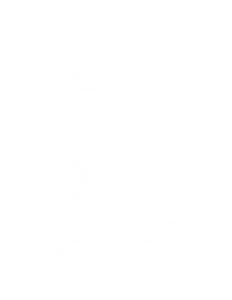 icon-vlak